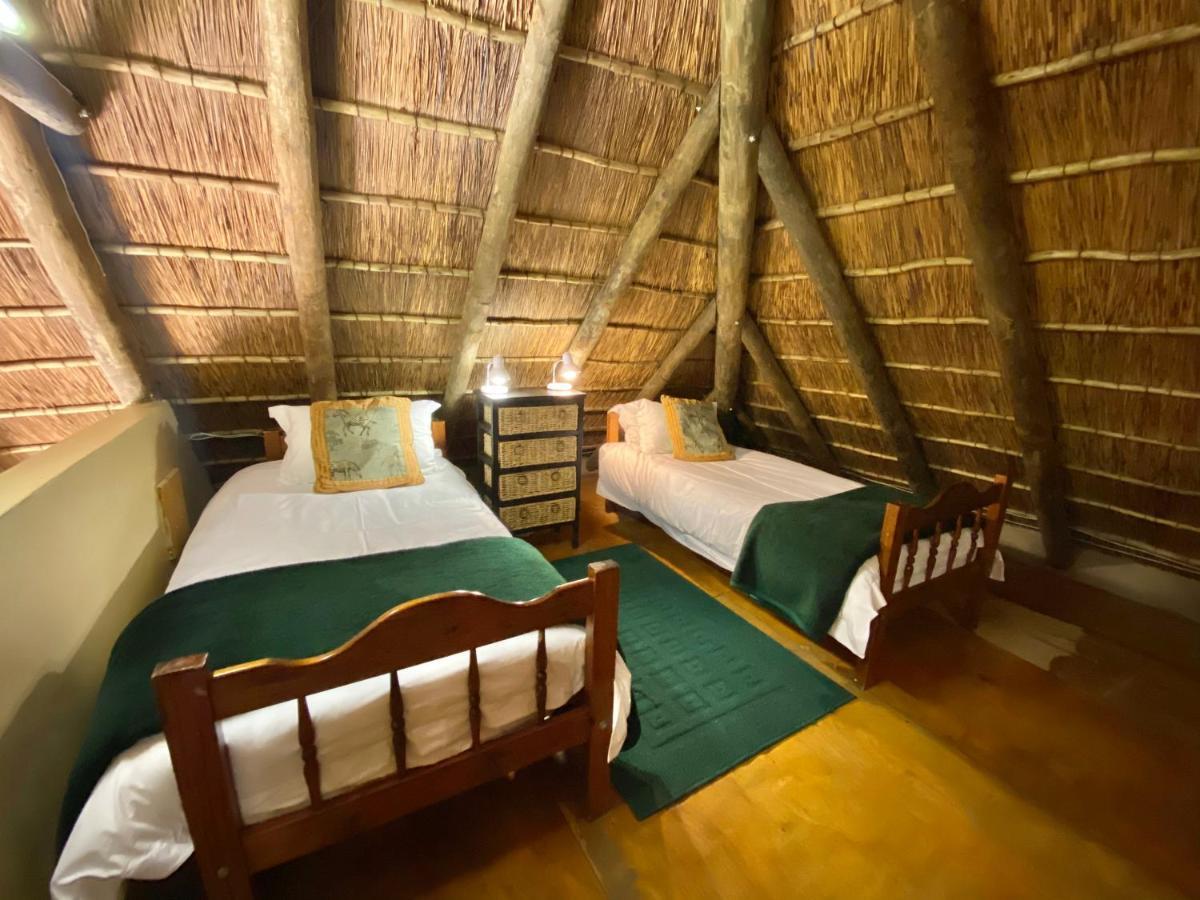 Parkview Safari Lodge コルチェスター エクステリア 写真
