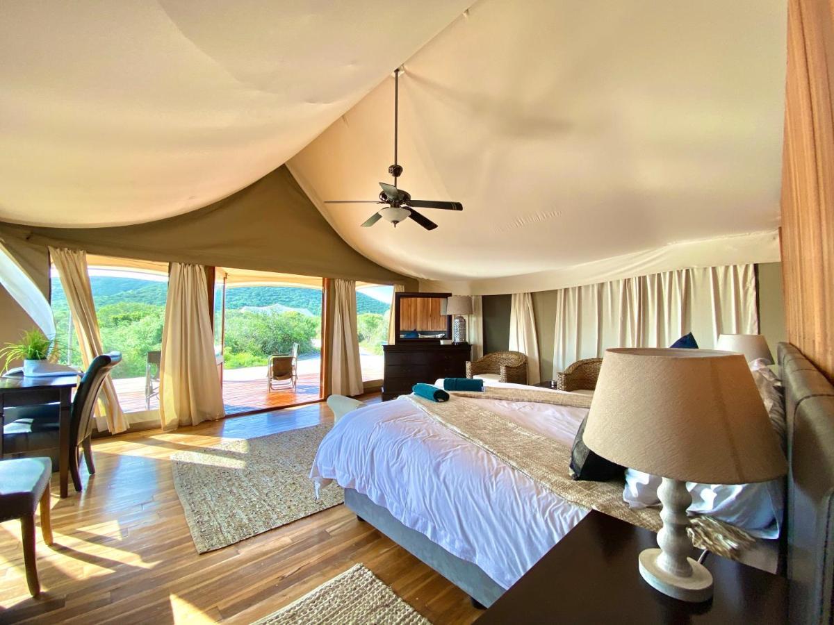 Parkview Safari Lodge コルチェスター エクステリア 写真