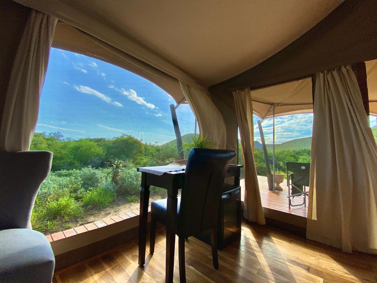 Parkview Safari Lodge コルチェスター エクステリア 写真