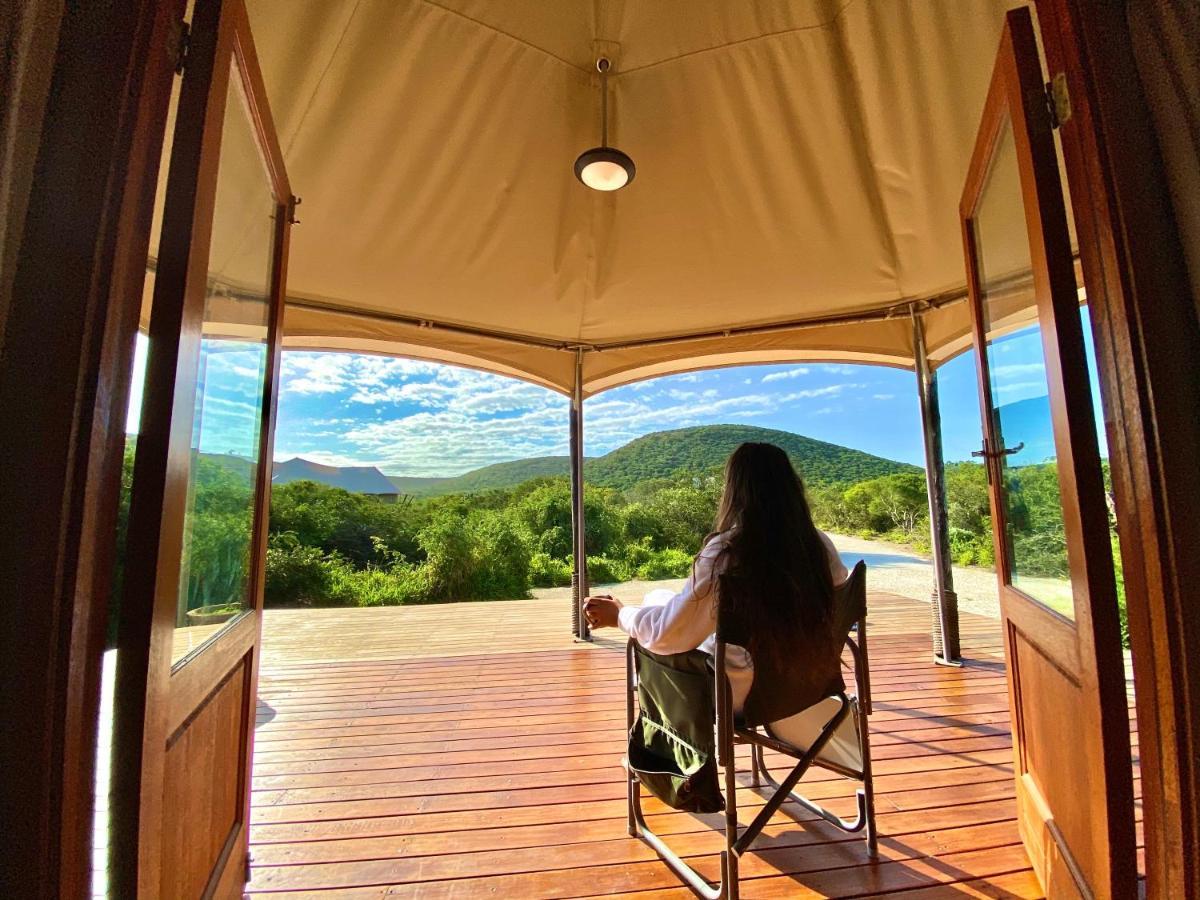 Parkview Safari Lodge コルチェスター エクステリア 写真