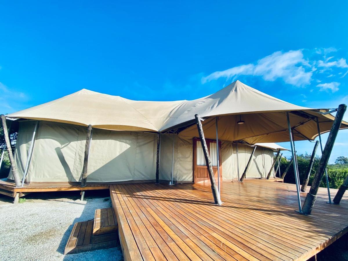 Parkview Safari Lodge コルチェスター エクステリア 写真