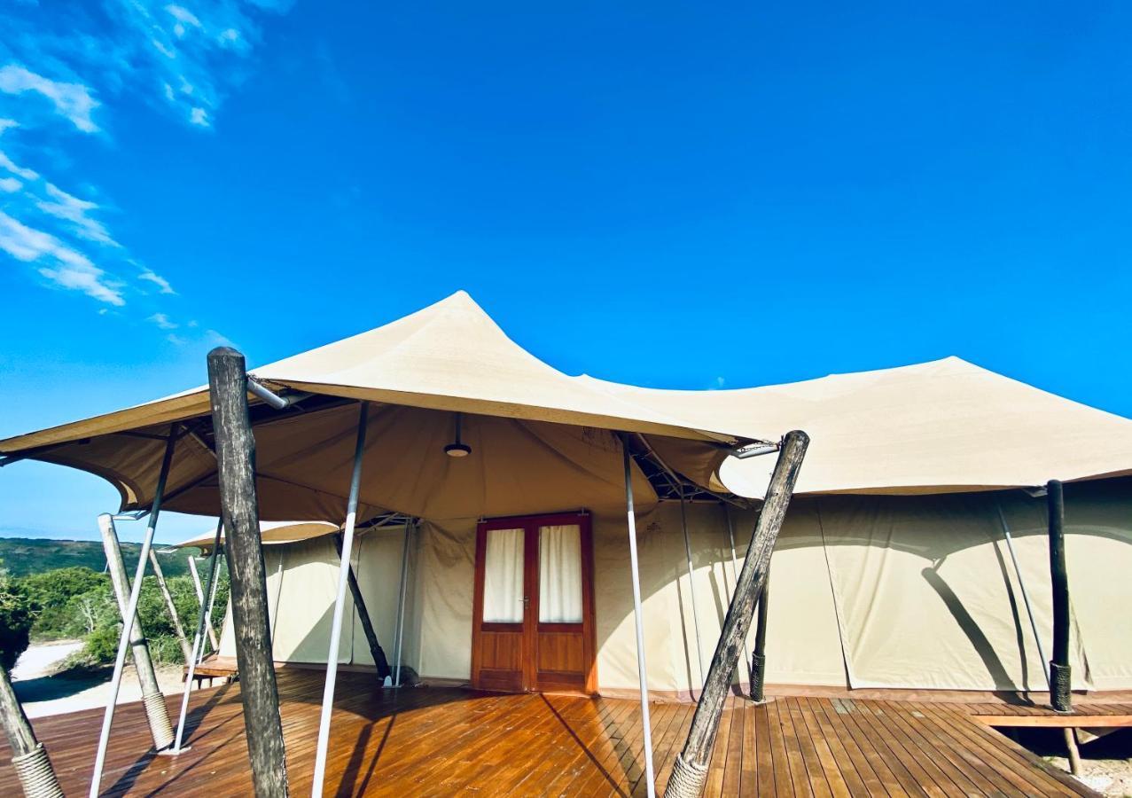 Parkview Safari Lodge コルチェスター エクステリア 写真
