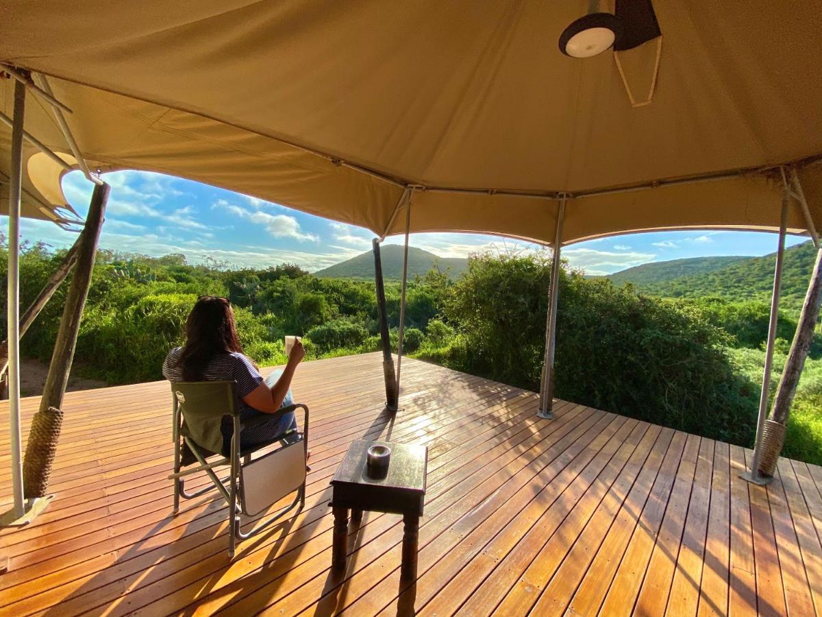 Parkview Safari Lodge コルチェスター エクステリア 写真