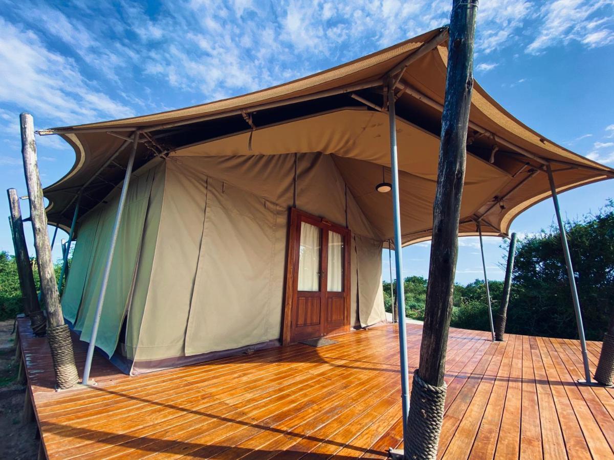 Parkview Safari Lodge コルチェスター エクステリア 写真