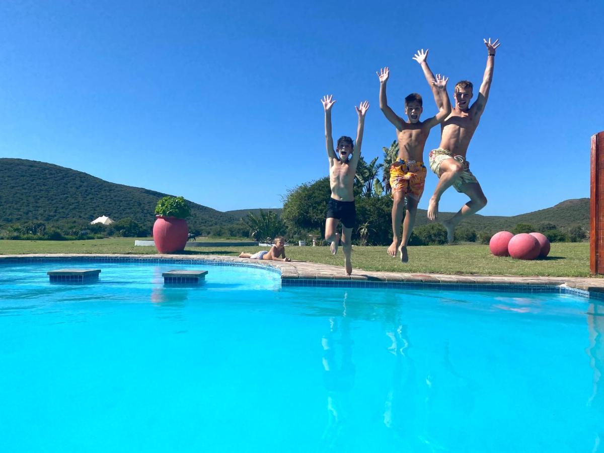 Parkview Safari Lodge コルチェスター エクステリア 写真