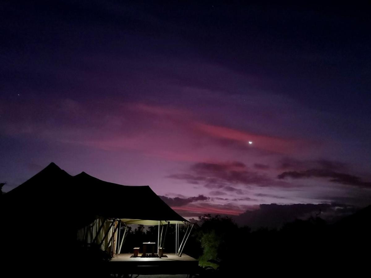 Parkview Safari Lodge コルチェスター エクステリア 写真