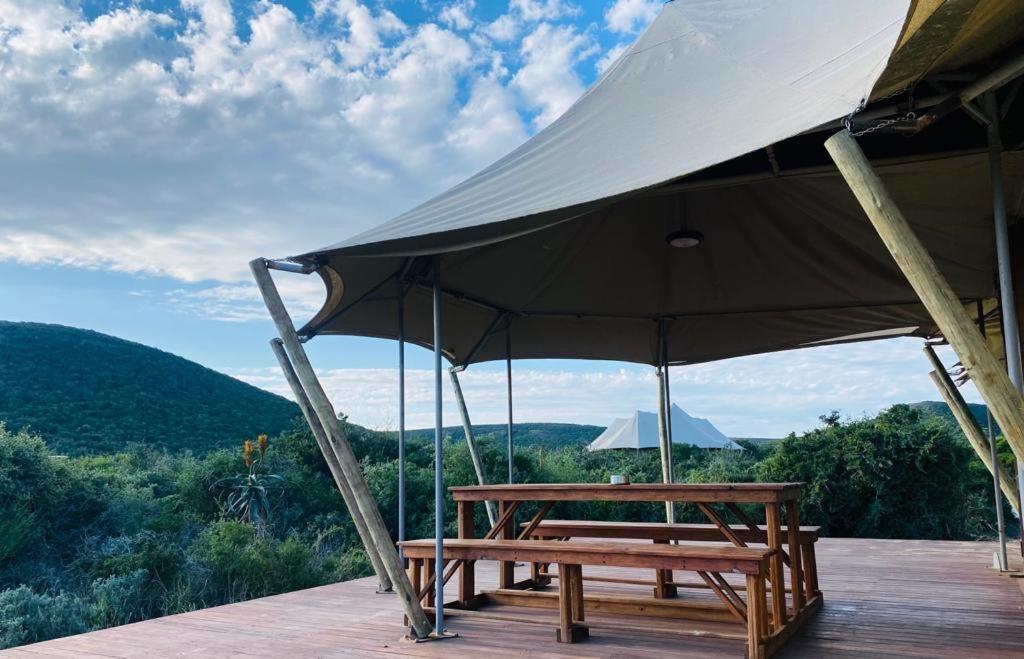 Parkview Safari Lodge コルチェスター エクステリア 写真