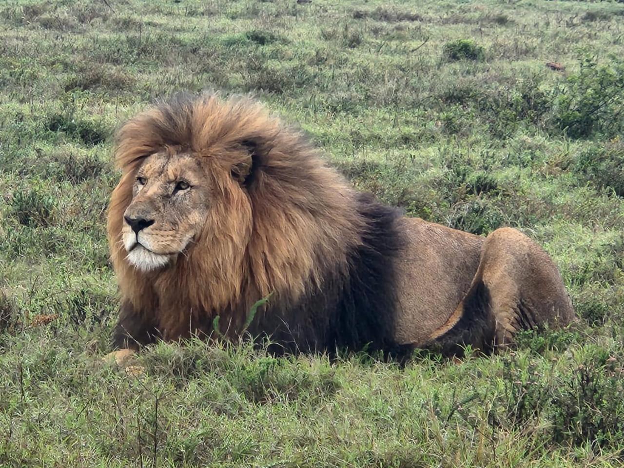 Parkview Safari Lodge コルチェスター エクステリア 写真