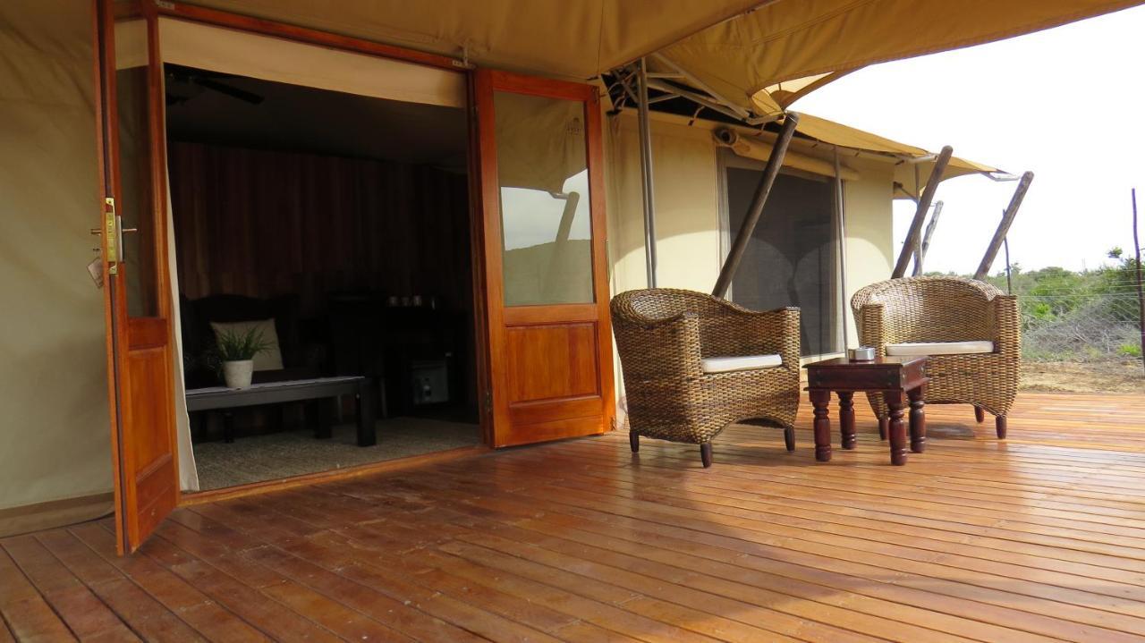 Parkview Safari Lodge コルチェスター エクステリア 写真