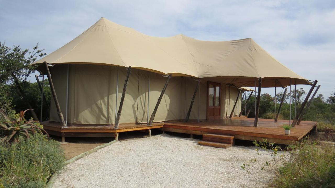 Parkview Safari Lodge コルチェスター エクステリア 写真