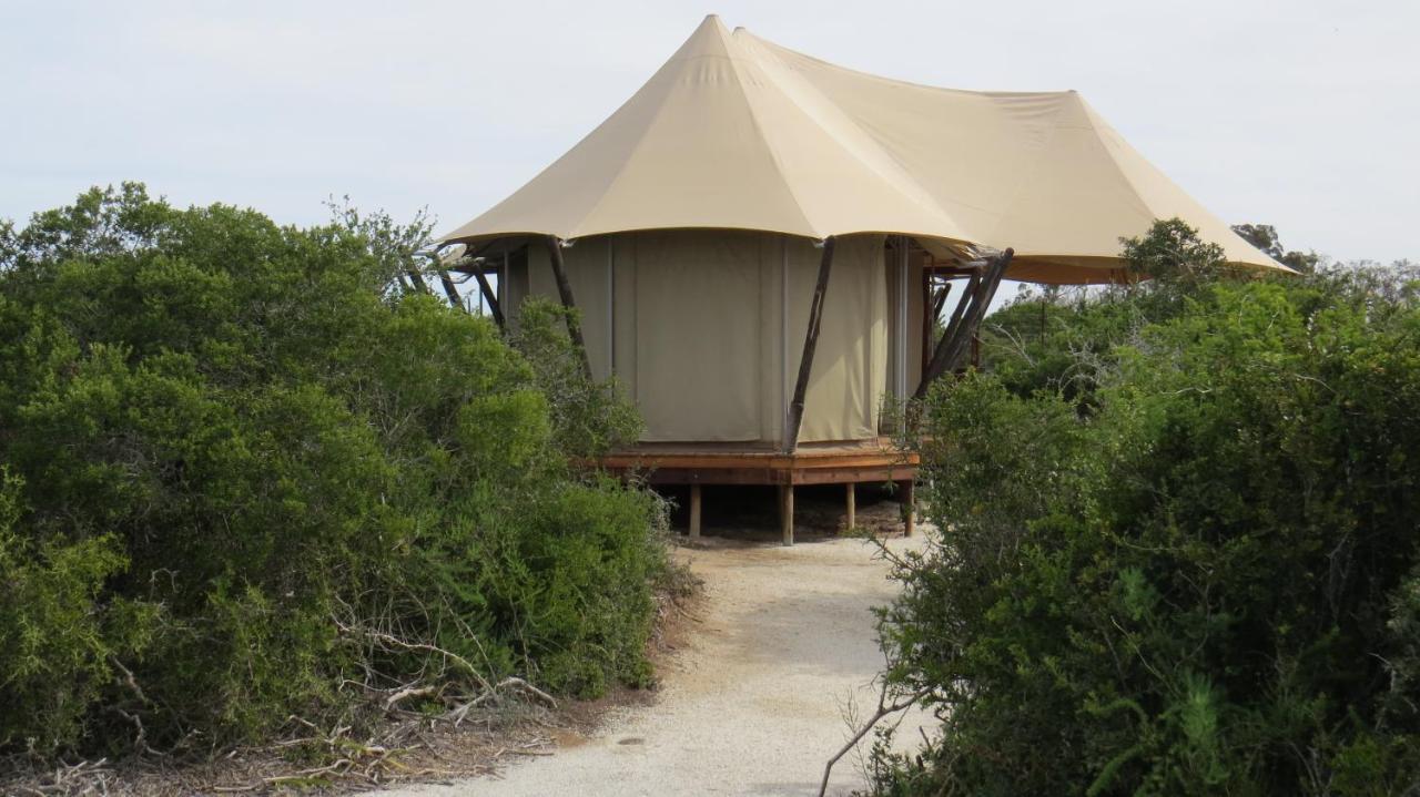 Parkview Safari Lodge コルチェスター エクステリア 写真